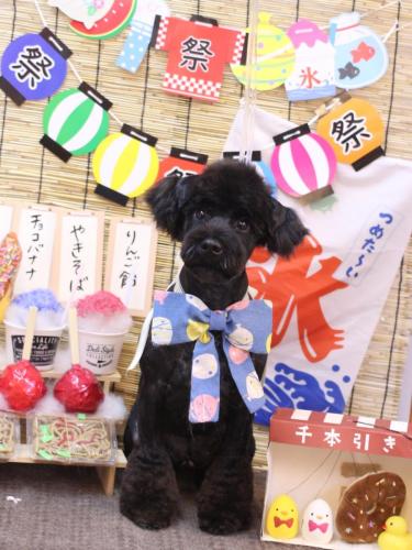 20240721レアくん